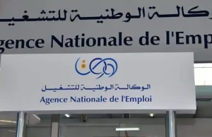 Allocation chômage en Algérie : 3,2 milliards de dollars et une hausse à 18.000 DA – Analyse Allocation chômage en Algérie