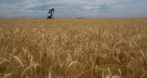 L’Algérie conclut un contrat historique d’importation de blé pour renforcer sa sécurité alimentaire contrat historique d'importation de blé