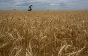 L’Algérie conclut un contrat historique d’importation de blé pour renforcer sa sécurité alimentaire contrat historique d'importation de blé