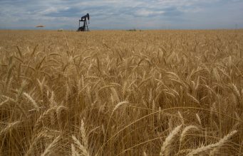 L’Algérie conclut un contrat historique d’importation de blé pour renforcer sa sécurité alimentaire contrat historique d'importation de blé