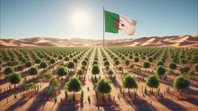 opération reboisement Gara Djebilet