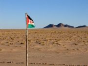 Sahara Occidental : Négociations directes à Madrid sous médiation américaine entre l’Algérie, le Maroc et le Polisario