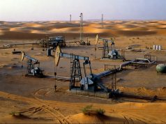 Sonatrach et Midad Energy North Africa : approbation du contrat de 5,4 milliards de dollars pour le périmètre Illizi Sud