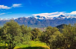 Algérie : L’interdiction du camping sauvage, un rempart nécessaire contre les feux de forêt ?