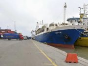 CNAN : Comment le fleuron maritime algérien a coulé dans les eaux de la corruption