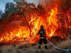 52 foyers d’incendie en 24 heures révèlent la vulnérabilité d’un pays sous haute pression climatique