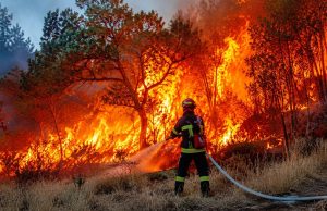 52 foyers d’incendie en 24 heures révèlent la vulnérabilité d’un pays sous haute pression climatique